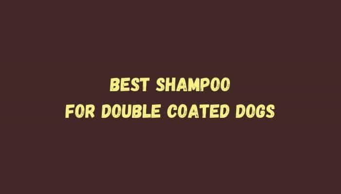 5 Best shampoo for double coated dogs