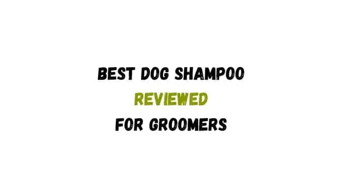 Best Dog Shampoo Reviewed for Groomers