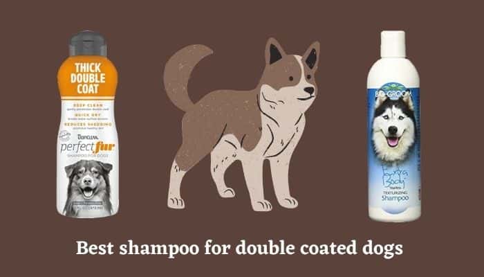 Best shampoo for double coated dogs