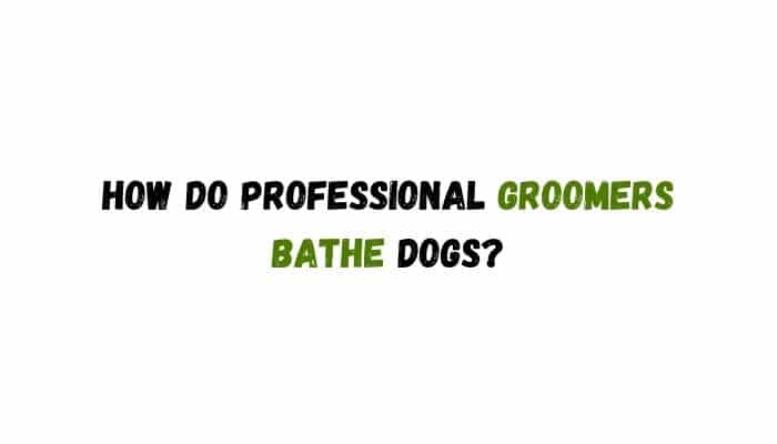 How do professional groomers bathe dogs