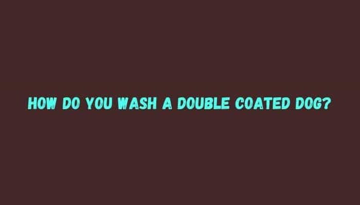 How do you wash a double coated dog