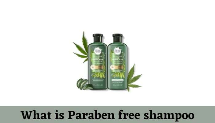 What is Paraben free shampoo