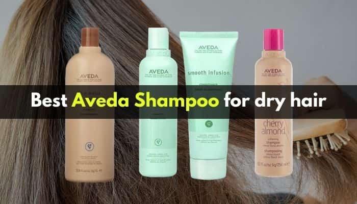Best Aveda Shampoo for dry hair