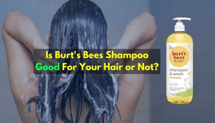 Is Burt's Bees Shampoo Good For Your Hair