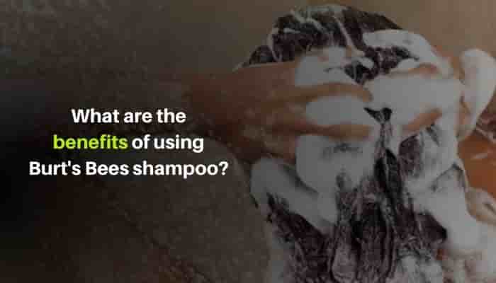 What are the benefits of using Burt's Bees shampoo
