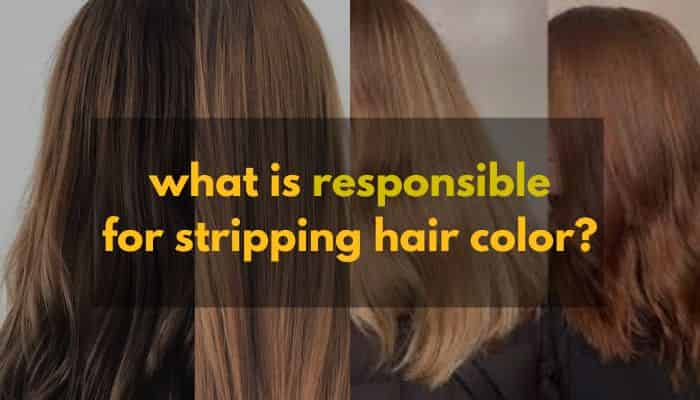 what is responsible for stripping hair color