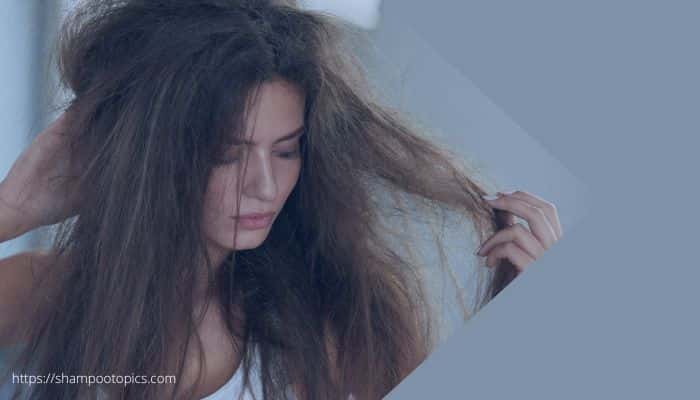 Best Shampoo for Frizzy Hair in Humidity