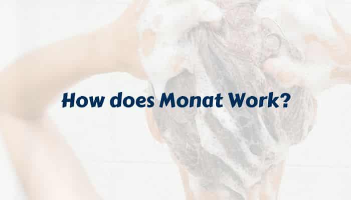 How does Monat Work
