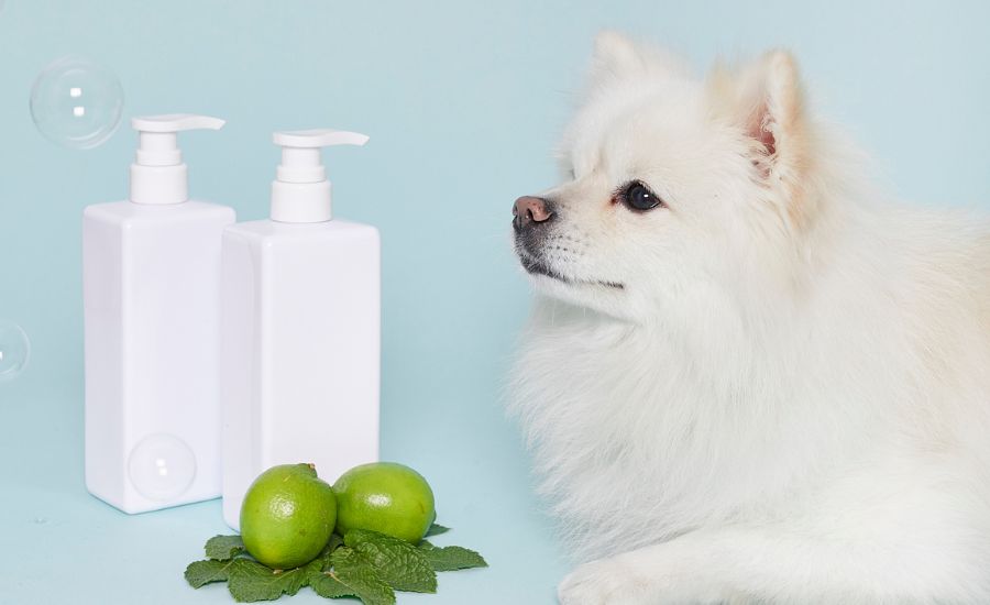 Top 9 best deshedding shampoo: super buying guide & review